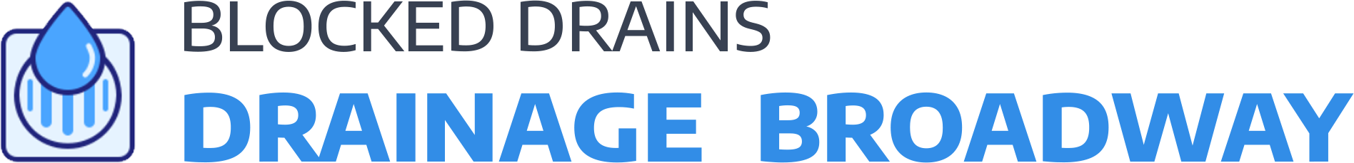 website logo